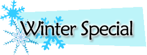 winter car rental specials